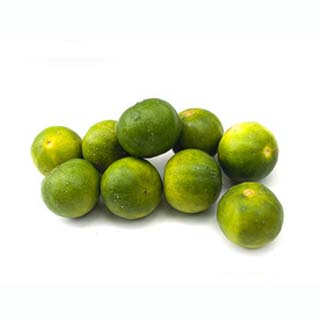 Limes